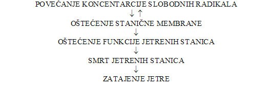 liječenje hipertenzije s bolestima jetre prehrambene proizvode za hipertenziju